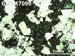 Thin Section Photo of Sample GRO 17099 in Plane-Polarized Light with 2.5X Magnification