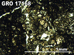 Thin Section Photo of Sample GRO 17168 in Plane-Polarized Light with 5X Magnification