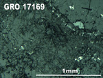 Thin Section Photo of Sample GRO 17169 in Reflected Light with 5X Magnification