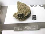 Lab Photo of Sample GRO 17175 Displaying West Orientation
