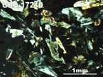 Thin Section Photo of Sample GRO 17210 in Cross-Polarized Light with 2.5X Magnification