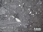 Thin Section Photograph of Sample LAP 10018 in Reflected Light