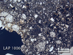 Thin Section Photo of Sample LAP 10060 in Plane-Polarized Light with 1.25X Magnification