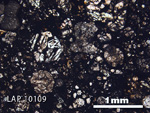 Thin Section Photograph of Sample LAP 10109 in Plane-Polarized Light