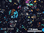 Thin Section Photograph of Sample LAP 10109 in Cross-Polarized Light