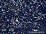 Thin Section Photo of Sample LAP 10130 in Cross-Polarized Light with 2.5X Magnification