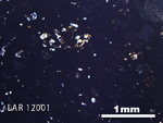 Thin Section Photo of Sample LAR 12001 in Plane-Polarized Light with 2.5X Magnification