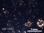 Thin Section Photograph of Sample LAR 12002 in Plane-Polarized Light