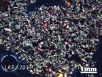 Thin Section Photograph of Sample LAR 12011 in Cross-Polarized Light