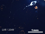 Thin Section Photograph of Sample LAR 12049 in Cross-Polarized Light