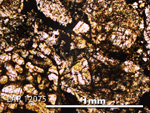 Thin Section Photo of Sample LAR 12075 in Plane-Polarized Light with 5X Magnification