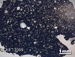 Thin Section Photograph of Sample LAR 12099 in Plane-Polarized Light