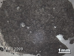 Thin Section Photograph of Sample LAR 12099 in Reflected Light