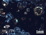 Thin Section Photograph of Sample LAR 12100 in Cross-Polarized Light