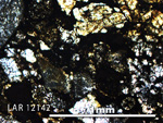 Thin Section Photo of Sample LAR 12142 in Plane-Polarized Light with 5X Magnification
