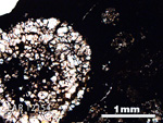 Thin Section Photo of Sample LAR 12154 in Plane-Polarized Light with 2.5X Magnification