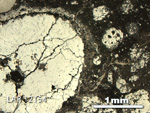 Thin Section Photo of Sample LAR 12154 in Reflected Light with 2.5X Magnification