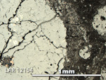 Thin Section Photo of Sample LAR 12154 in Reflected Light with 5X Magnification