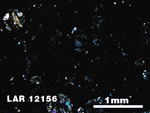 Thin Section Photo of Sample LAR 12156 in Cross-Polarized Light with 2.5X Magnification