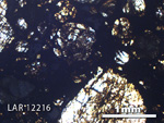 Thin Section Photo of Sample LAR 12216 in Plane-Polarized Light with 2.5X Magnification