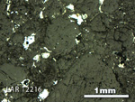 Thin Section Photo of Sample LAR 12216 in Reflected Light with 2.5X Magnification