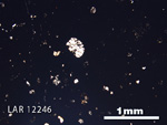 Thin Section Photograph of Sample LAR 12246 in Plane-Polarized Light