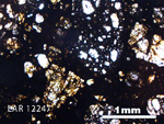 Thin Section Photo of Sample LAR 12247 in Plane-Polarized Light with 2.5X Magnification
