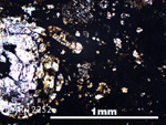 Thin Section Photo of Sample LAR 12252 in Plane-Polarized Light with 5X Magnification