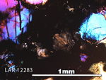 Thin Section Photo of Sample LAR 12283 in Cross-Polarized Light with 5X Magnification
