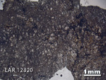 Thin Section Photograph of Sample LAR 12320 in Plane-Polarized Light