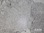 Thin Section Photograph of Sample LAR 12320 in Reflected Light