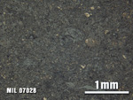 Thin Section Photo of Sample MIL 07028 at 2.5X Magnification in Reflected Light