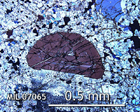 Thin Section Photo of Sample MIL 07065 in Cross-Polarized Light with 10x Magnification