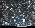 Thin Section Photo of Sample MIL 07292 in Plane-Polarized Light with 2.5x Magnification
