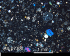 Thin Section Photo of Sample MIL 07300 in Cross-Polarized Light with 2.5x Magnification