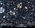 Thin Section Photo of Sample MIL 07313 in Cross-Polarized Light with 2.5x Magnification