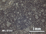 Thin Section Photo of Sample MIL 07322 at 2.5X Magnification in Reflected Light