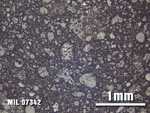 Thin Section Photo of Sample MIL 07342 at 2.5X Magnification in Reflected Light