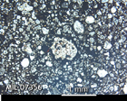 Thin Section Photo of Sample MIL 07356 in Plane-Polarized Light with 2.5x Magnification