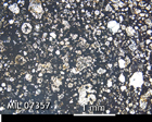 Thin Section Photo of Sample MIL 07357 in Plane-Polarized Light with 2.5x Magnification