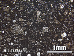 Thin Section Photo of Sample MIL 07358 at 2.5X Magnification in Plane-Polarized Light