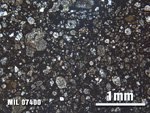Thin Section Photo of Sample MIL 07400 at 2.5X Magnification in Plane-Polarized Light