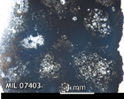 Thin Section Photo of Sample MIL 07403 in Plane-Polarized Light with 2.5x Magnification