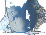 Thin Section Photo of Sample MIL 07404 at 2.5X Magnification in Plane-Polarized Light