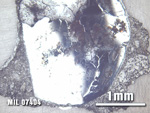 Thin Section Photo of Sample MIL 07404 at 2.5X Magnification in Reflected Light