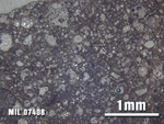 Thin Section Photo of Sample MIL 07408 at 2.5X Magnification in Reflected Light