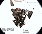 Thin Section Photo of Sample MIL 07421 in Plane-Polarized Light with 1.25x Magnification
