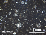 Thin Section Photo of Sample MIL 07439 at 2.5X Magnification in Plane-Polarized Light