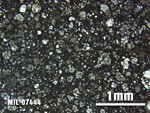 Thin Section Photo of Sample MIL 07444 at 2.5X Magnification in Plane-Polarized Light