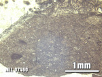 Thin Section Photo of Sample MIL 07460 at 2.5X Magnification in Reflected Light